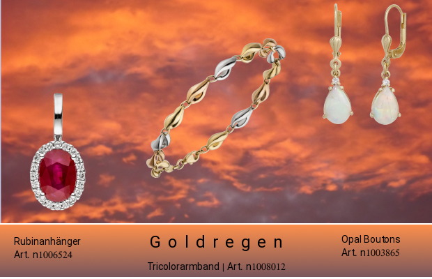 sl-6-2025-juwelier-online