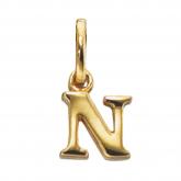 Anhänger "N"  333/-Gelbgold